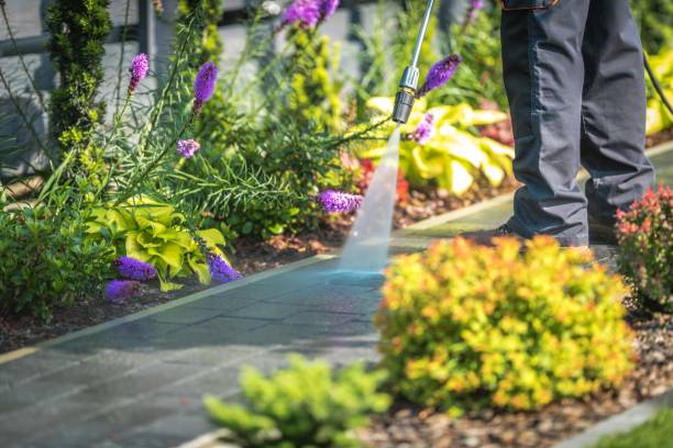 Best Machinery and Equipment Cleaning  in Melrose Park, NY