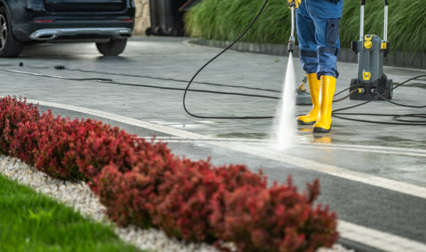 Best Driveway Pressure Washing  in Melrose Park, NY